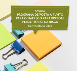 Programa de posta a punto para o emprego (RISGA) (TR351H)